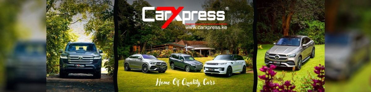 Dealership Background